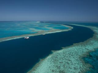 Sir David Attenborough Says Great Barrier Reef Is Most Memorable